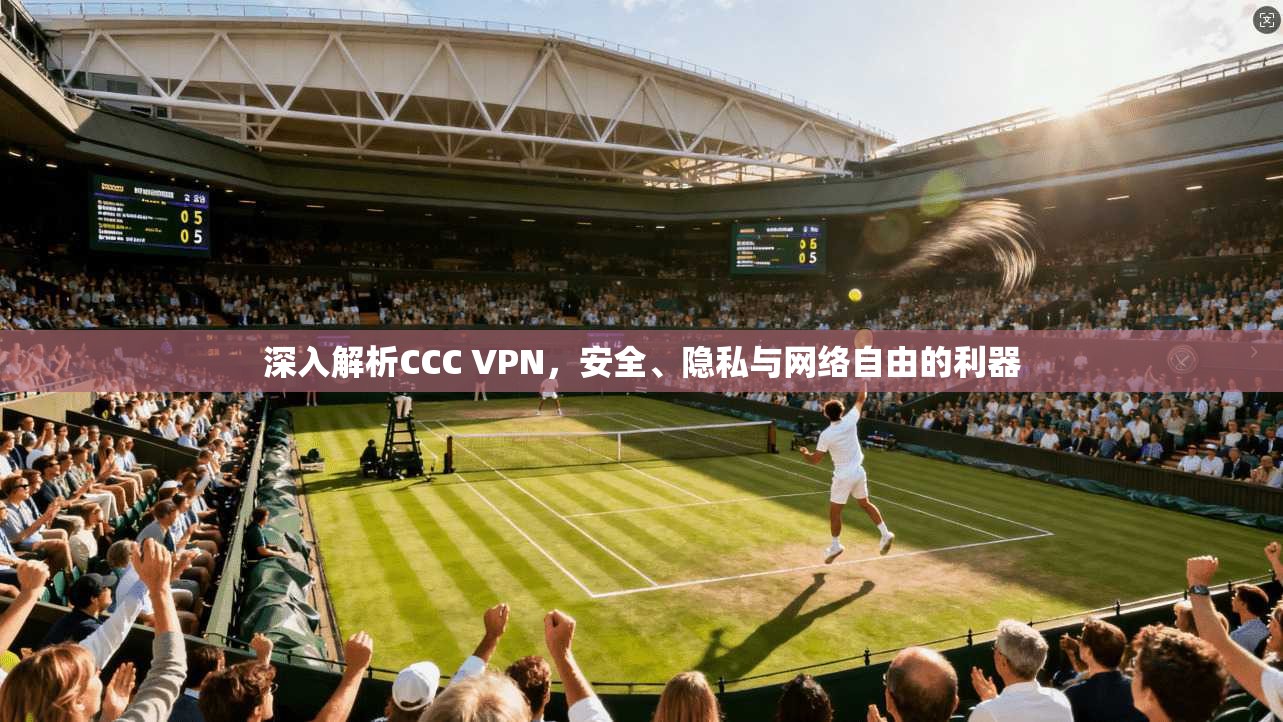 深入解析CCC VPN，安全、隐私与网络自由的利器