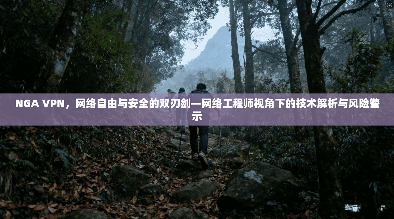 NGA VPN，网络自由与安全的双刃剑—网络工程师视角下的技术解析与风险警示