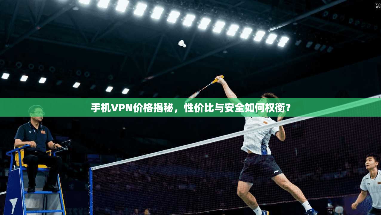 手机VPN价格揭秘，性价比与安全如何权衡？