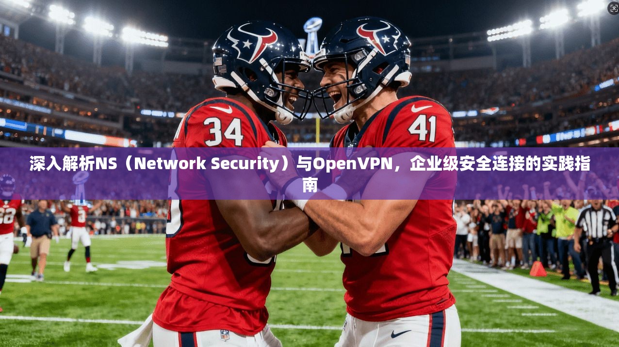 深入解析NS（Network Security）与OpenVPN，企业级安全连接的实践指南