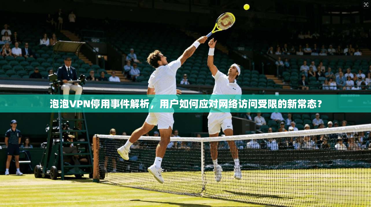 泡泡VPN停用事件解析，用户如何应对网络访问受限的新常态？