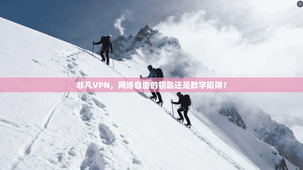 非凡VPN，网络自由的钥匙还是数字陷阱？  第1张