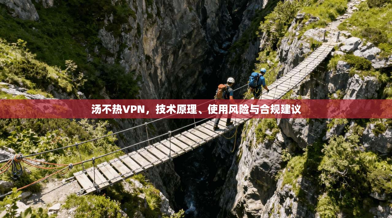 汤不热VPN，技术原理、使用风险与合规建议  第1张