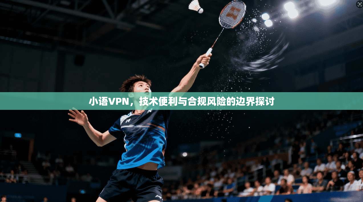 小语VPN，技术便利与合规风险的边界探讨  第1张