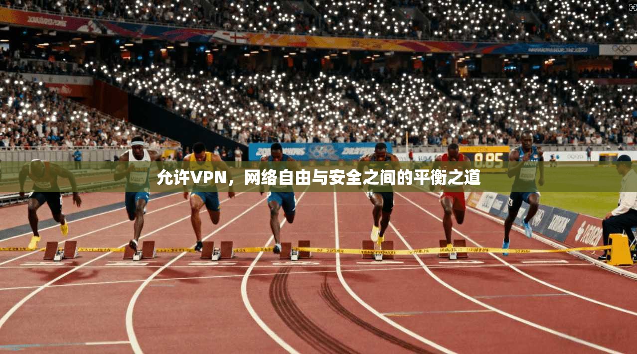 允许VPN，网络自由与安全之间的平衡之道  第1张