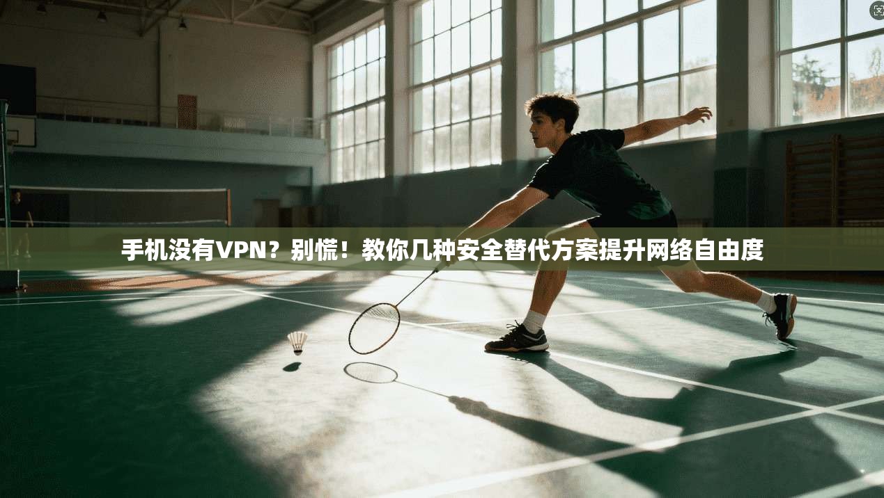 手机没有VPN？别慌！教你几种安全替代方案提升网络自由度  第1张