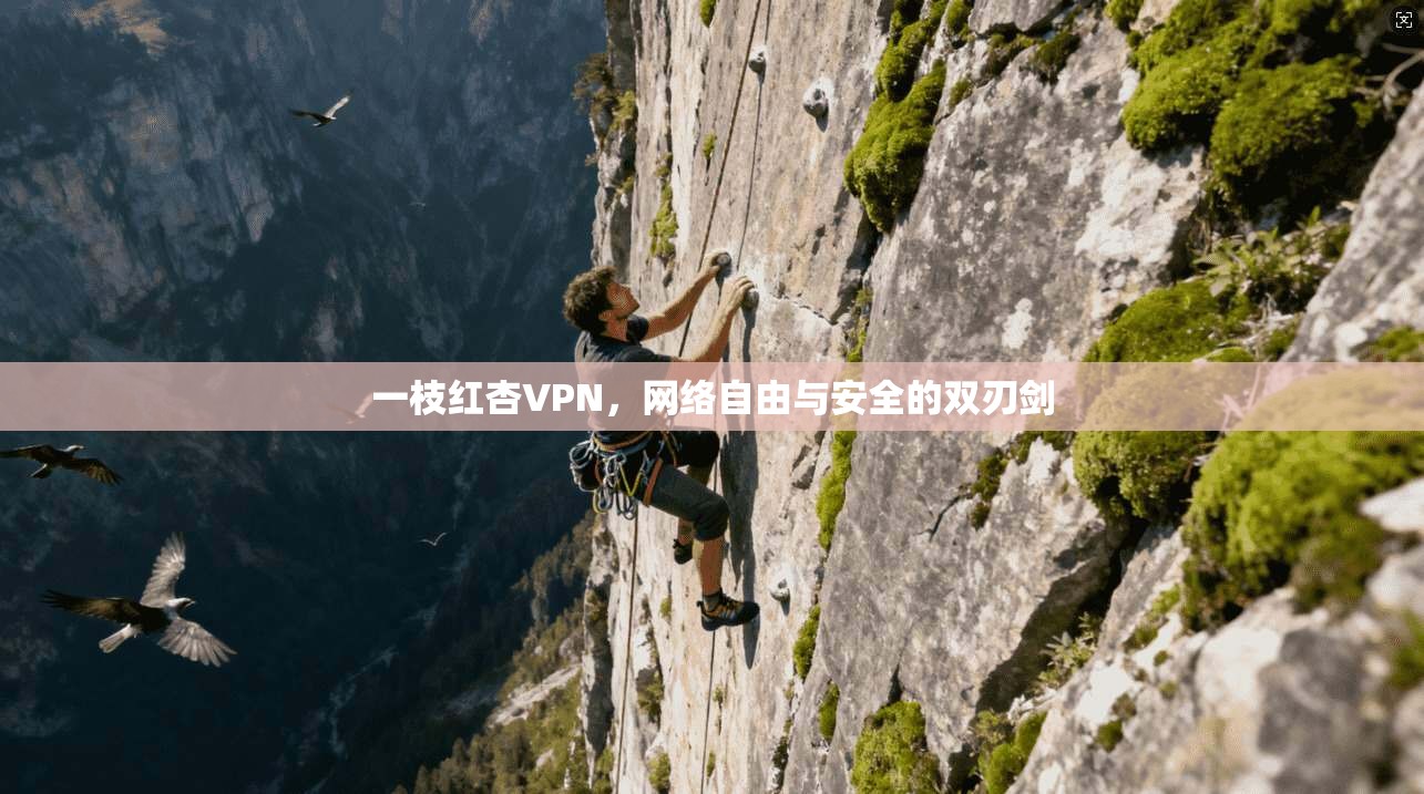 一枝红杏VPN，网络自由与安全的双刃剑  第1张