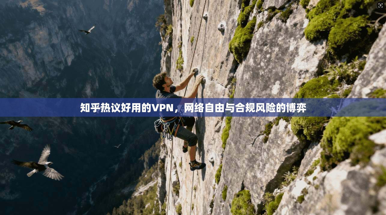 知乎热议好用的VPN，网络自由与合规风险的博弈  第1张