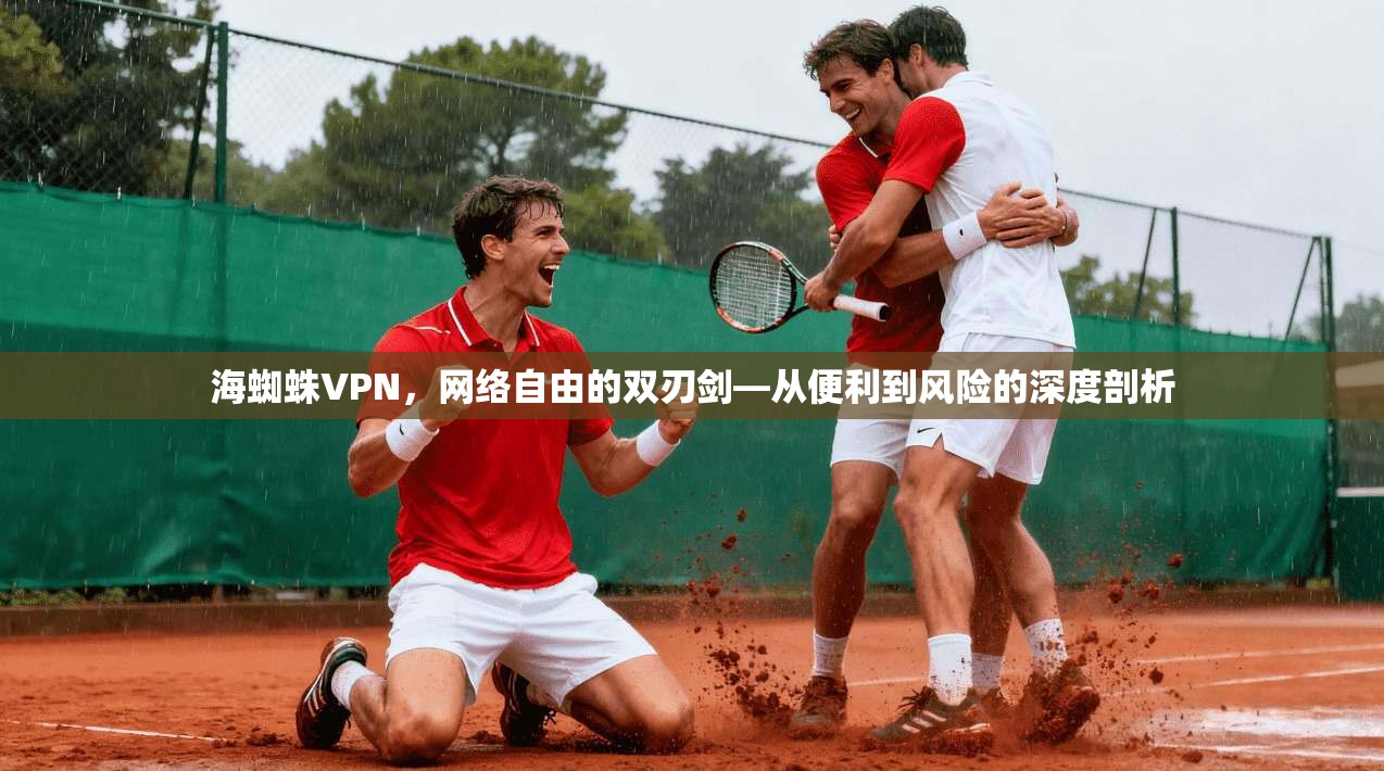 海蜘蛛VPN，网络自由的双刃剑—从便利到风险的深度剖析  第1张