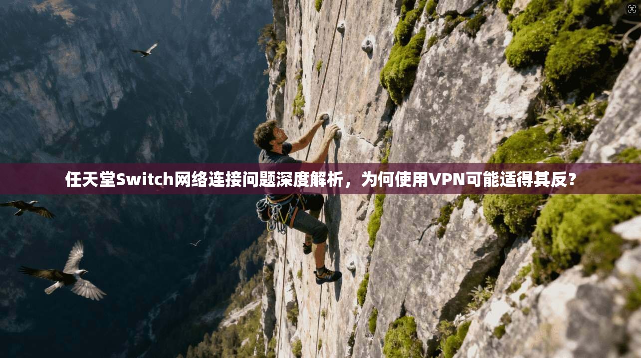 任天堂Switch网络连接问题深度解析,为何使用VPN可能适得其反? 第1张 任天堂Switch网络连接问题深度解析,为何使用VPN可能适得其反? 第1张
