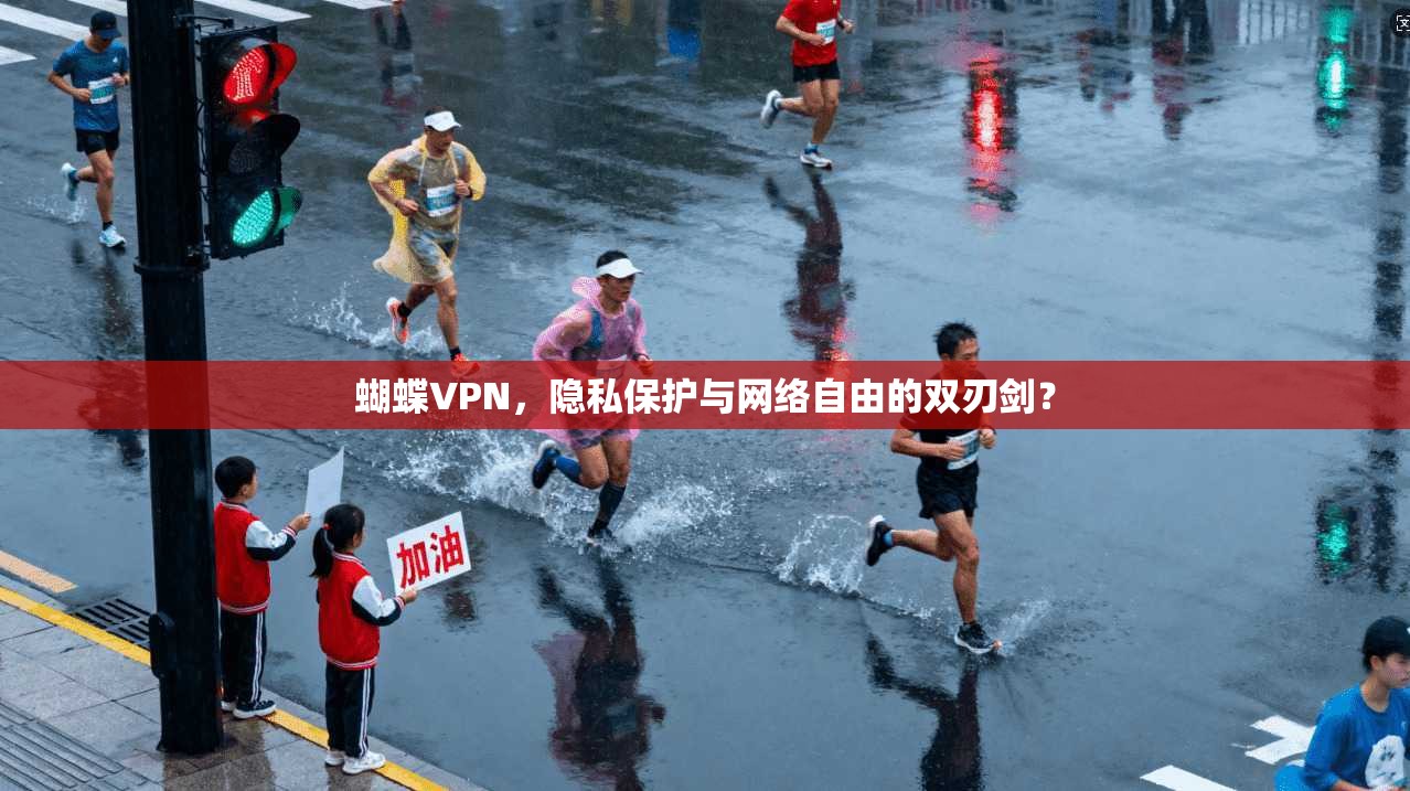 蝴蝶VPN，隐私保护与网络自由的双刃剑？  第1张