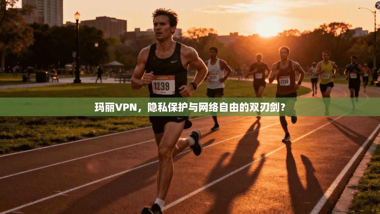 玛丽VPN，隐私保护与网络自由的双刃剑？  第1张