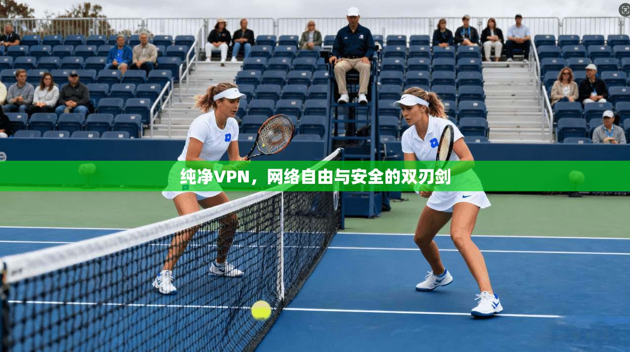 纯净VPN，网络自由与安全的双刃剑  第1张