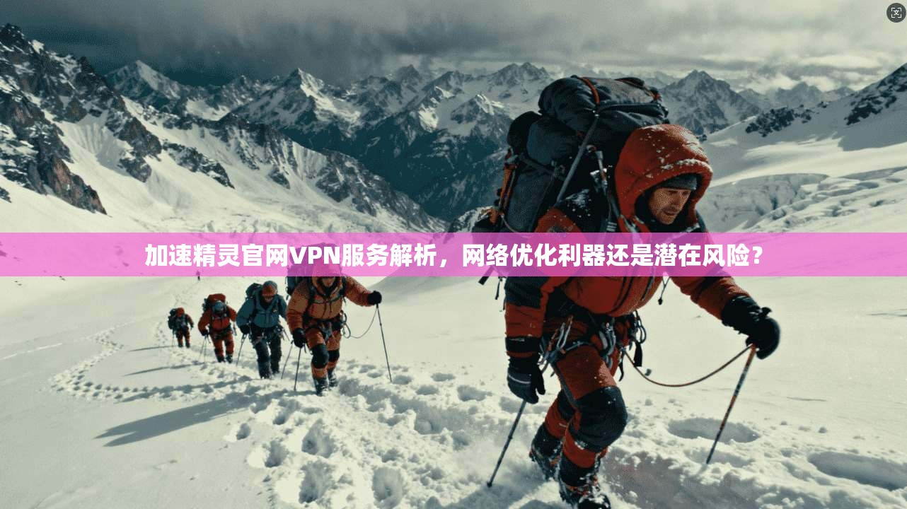 加速精灵官网VPN服务解析,网络优化利器还是潜在风险? 第1张 加速精灵官网VPN服务解析,网络优化利器还是潜在风险? 第1张