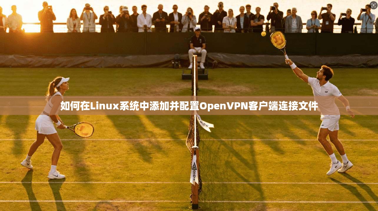 如何在Linux系统中添加并配置OpenVPN客户端连接文件 第1张 如何在Linux系统中添加并配置OpenVPN客户端连接文件 第1张