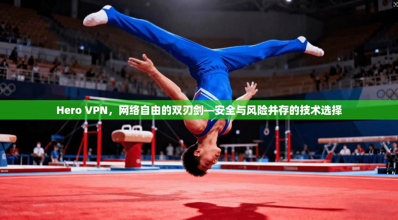 Hero VPN，网络自由的双刃剑—安全与风险并存的技术选择  第1张