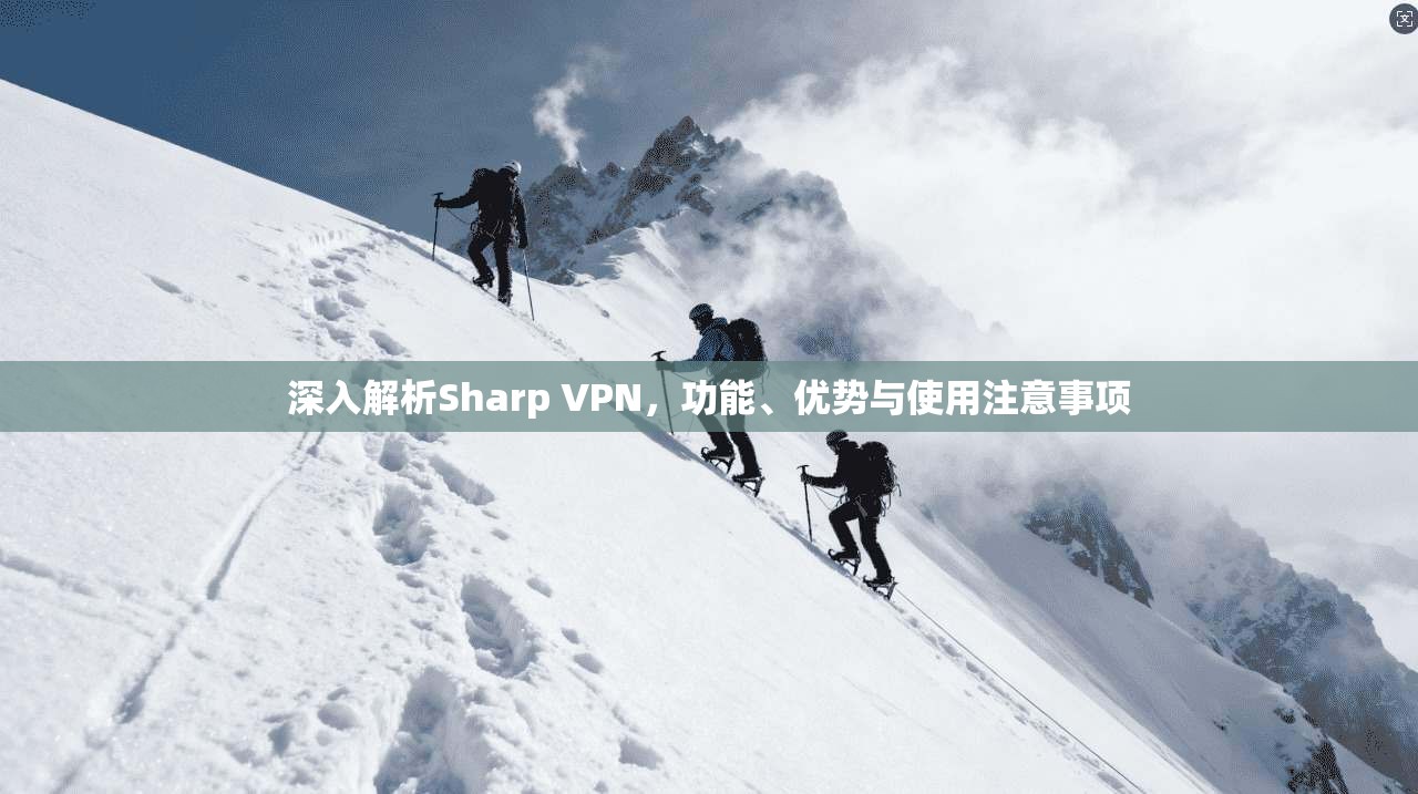 深入解析Sharp VPN，功能、优势与使用注意事项  第1张
