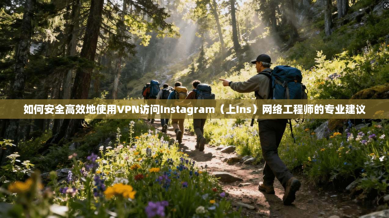 如何安全高效地使用VPN访问Instagram（上Ins）网络工程师的专业建议  第1张