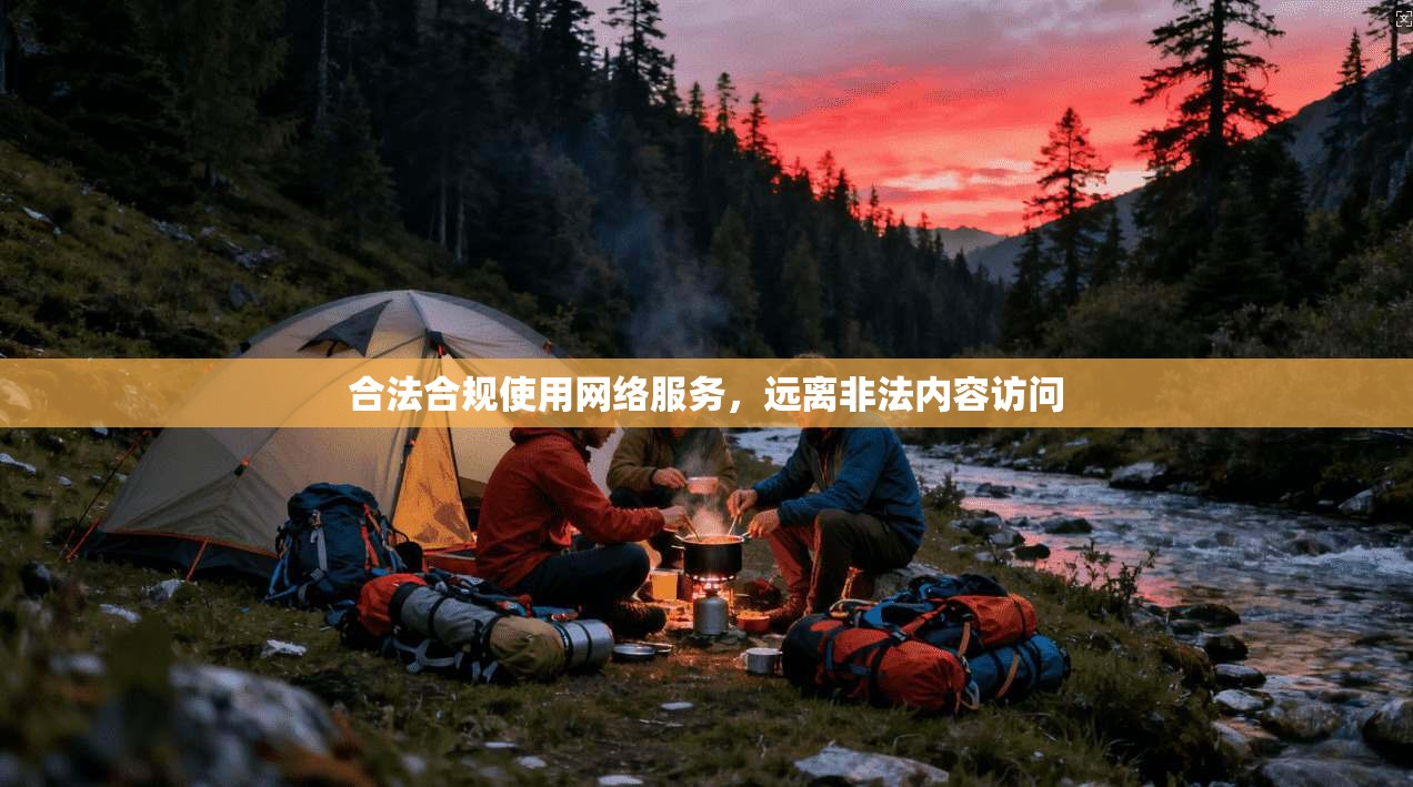 合法合规使用网络服务，远离非法内容访问  第1张