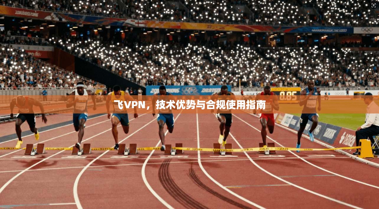 飞VPN，技术优势与合规使用指南  第1张
