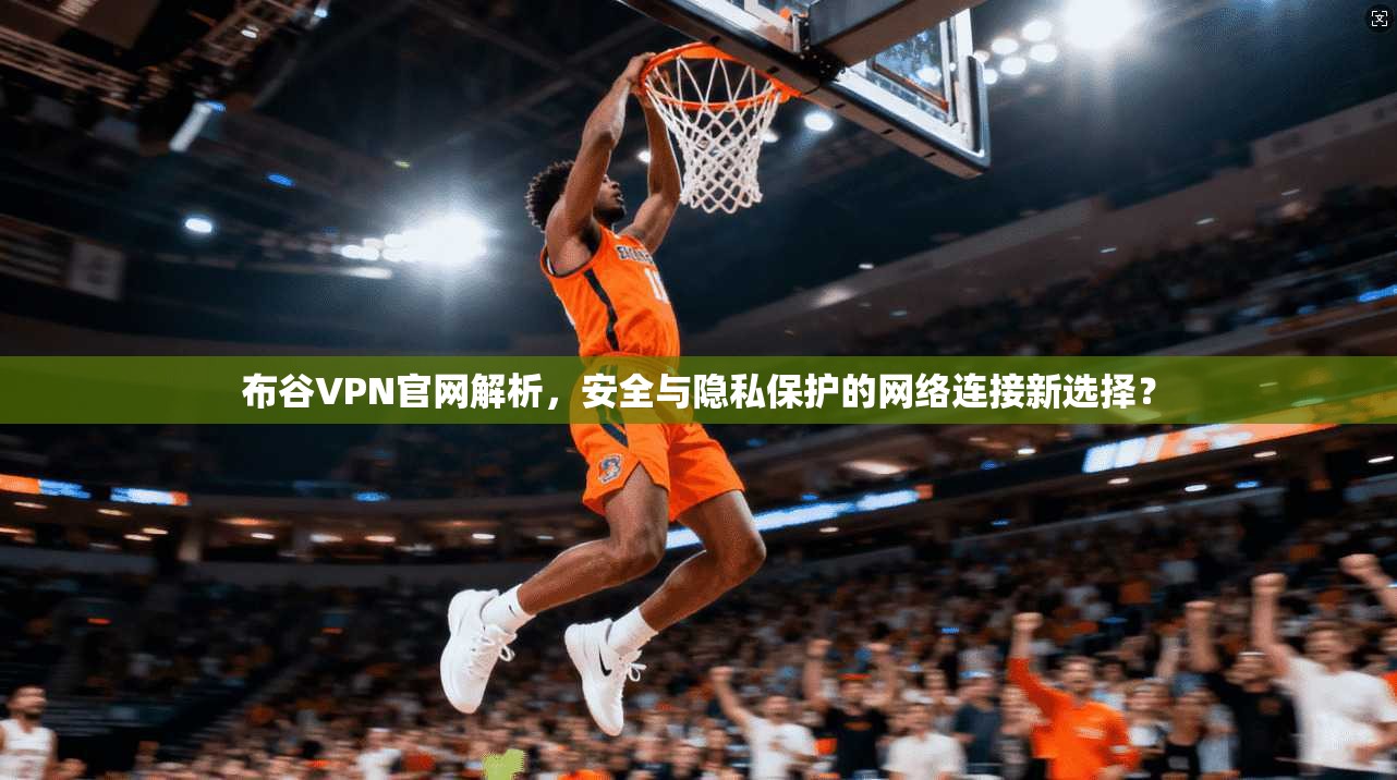 布谷VPN官网解析，安全与隐私保护的网络连接新选择？  第1张