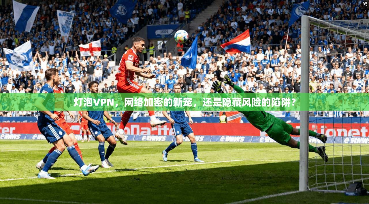 灯泡VPN，网络加密的新宠，还是隐藏风险的陷阱？  第1张