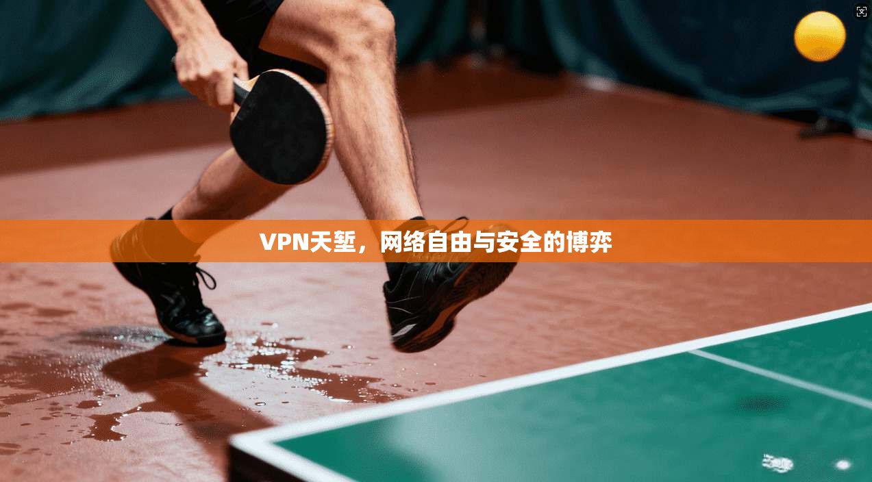VPN天堑，网络自由与安全的博弈  第1张