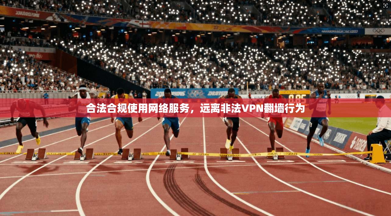 合法合规使用网络服务，远离非法VPN翻墙行为  第1张