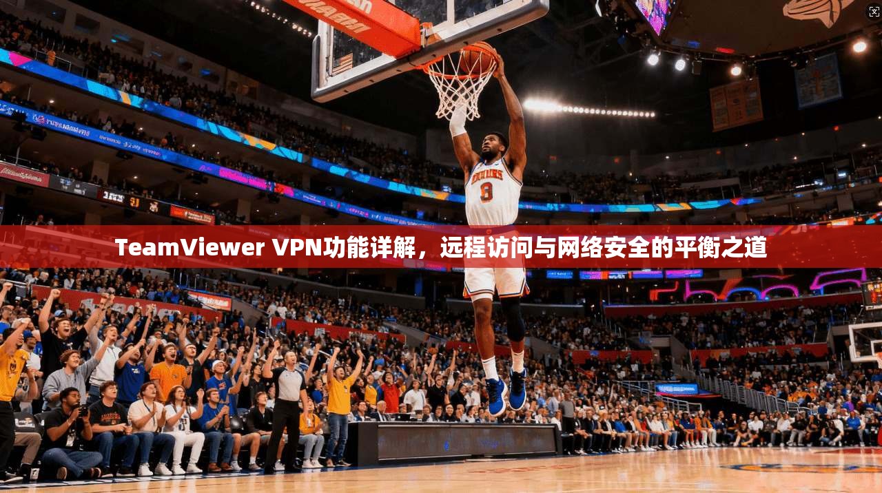 TeamViewer VPN功能详解，远程访问与网络安全的平衡之道  第1张