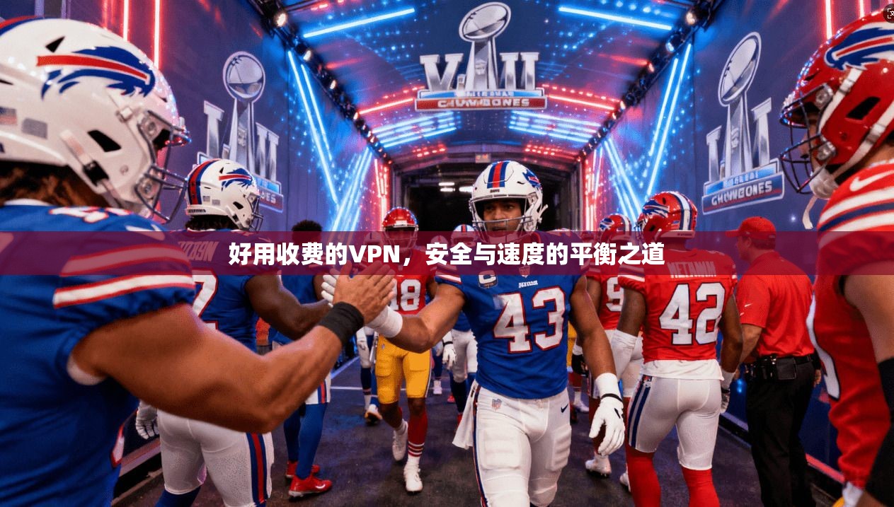 好用收费的VPN，安全与速度的平衡之道  第1张