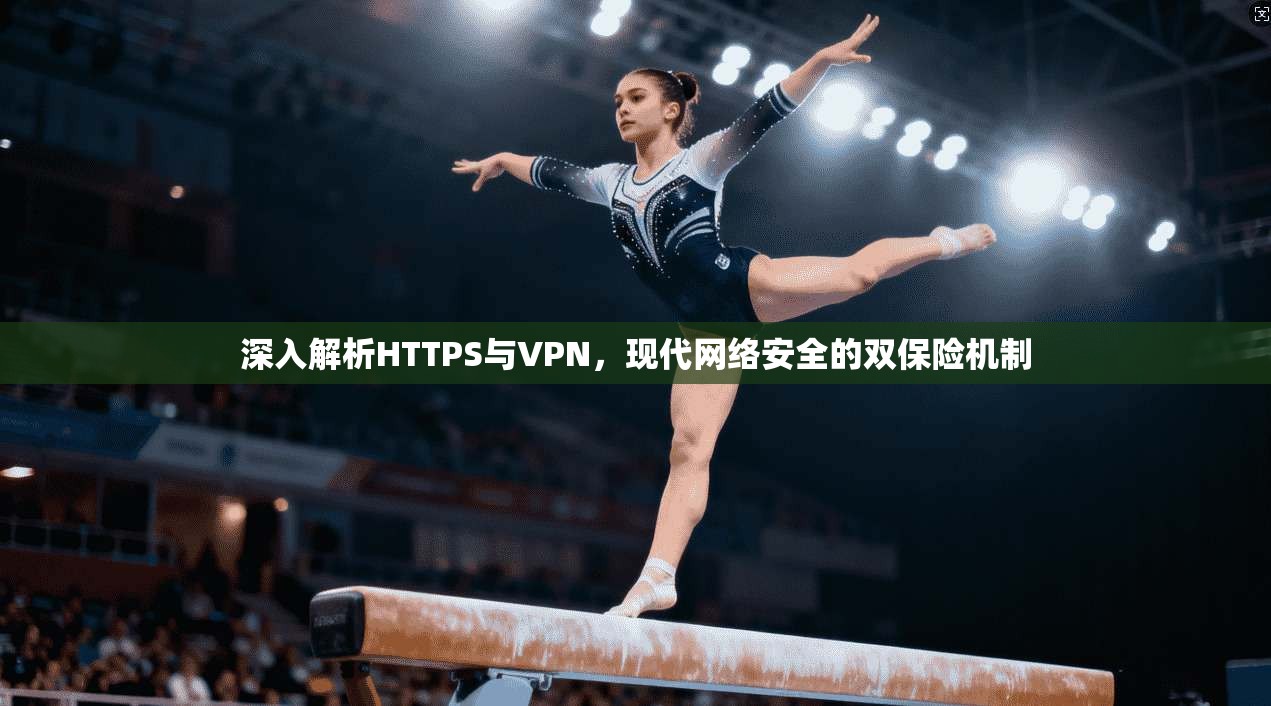 深入解析HTTPS与VPN，现代网络安全的双保险机制  第1张
