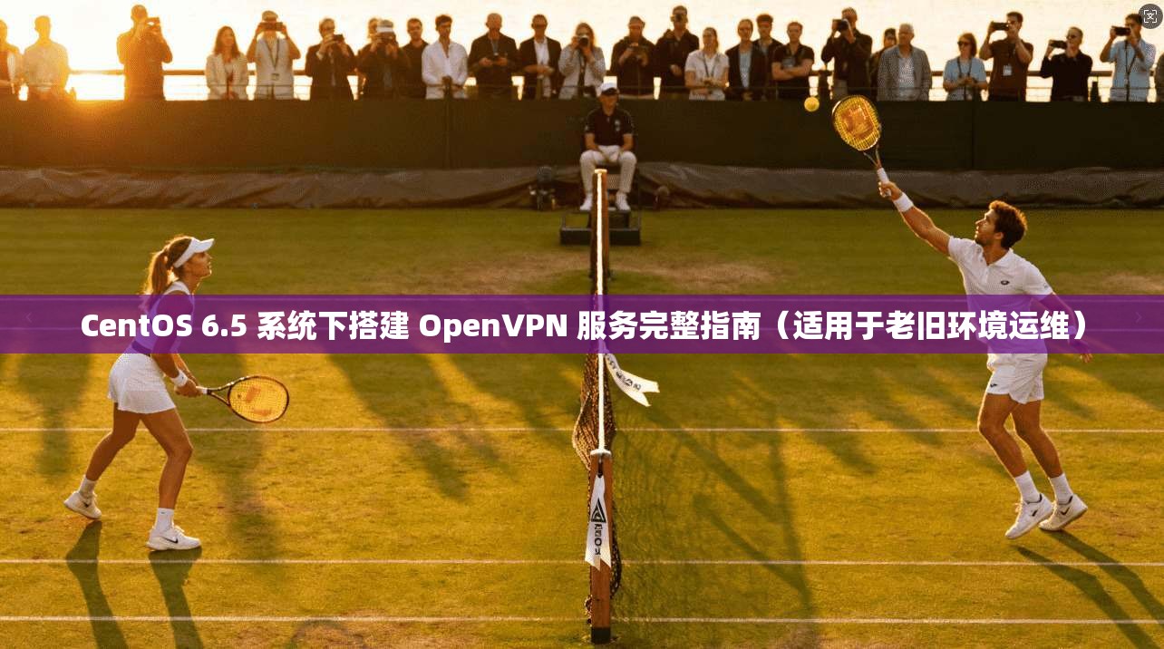 CentOS 6.5 系统下搭建 OpenVPN 服务完整指南（适用于老旧环境运维）  第1张