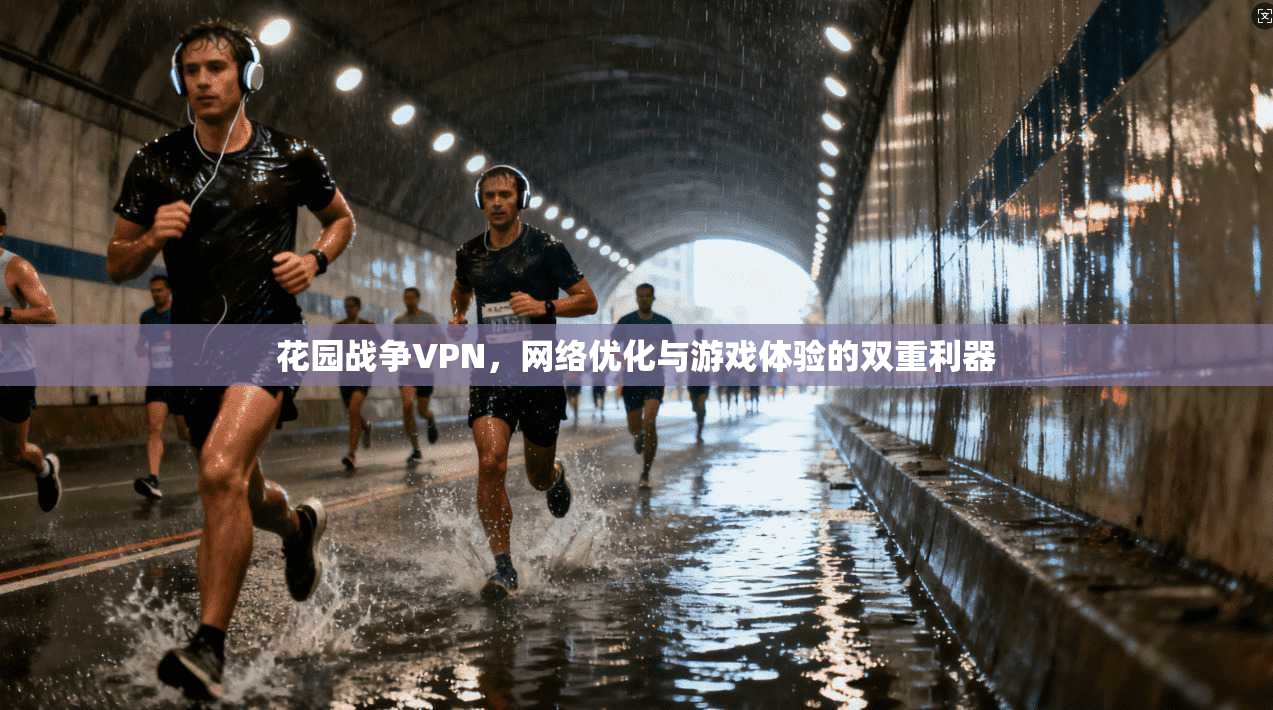 花园战争VPN，网络优化与游戏体验的双重利器  第1张