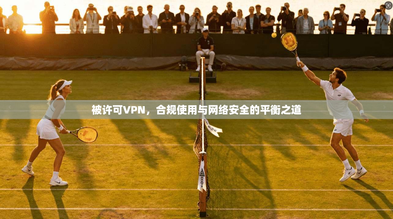 被许可VPN，合规使用与网络安全的平衡之道  第1张
