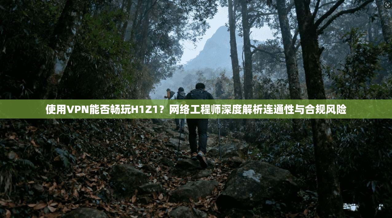 使用VPN能否畅玩H1Z1？网络工程师深度解析连通性与合规风险  第1张