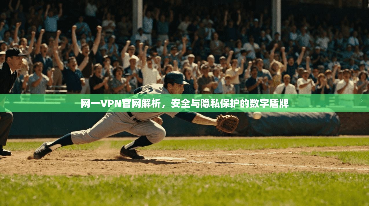 网一VPN官网解析，安全与隐私保护的数字盾牌  第1张