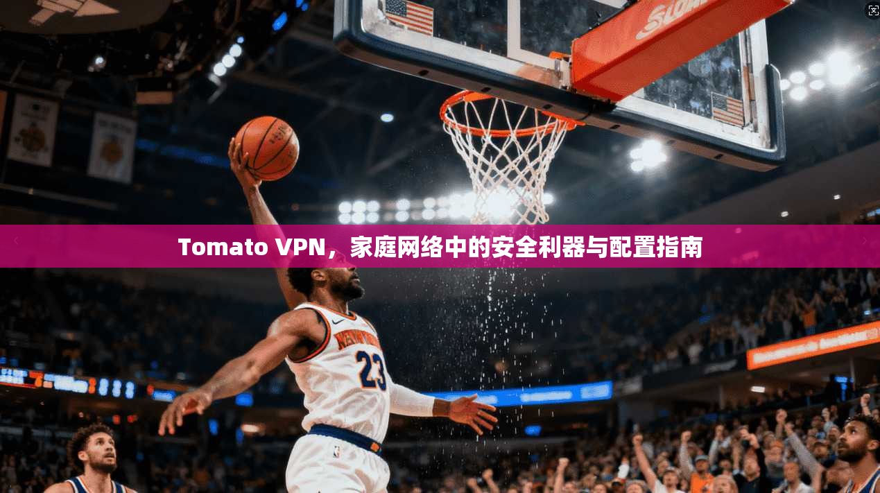 Tomato VPN，家庭网络中的安全利器与配置指南  第1张