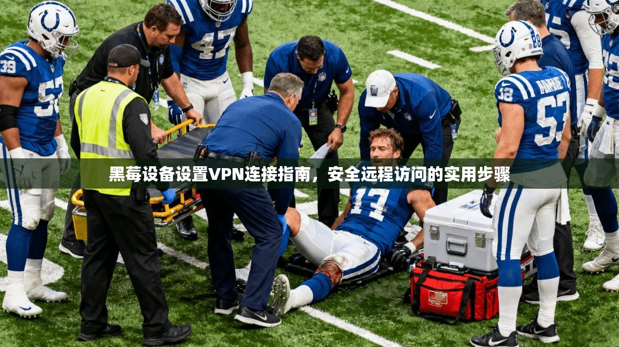 黑莓设备设置VPN连接指南，安全远程访问的实用步骤  第1张