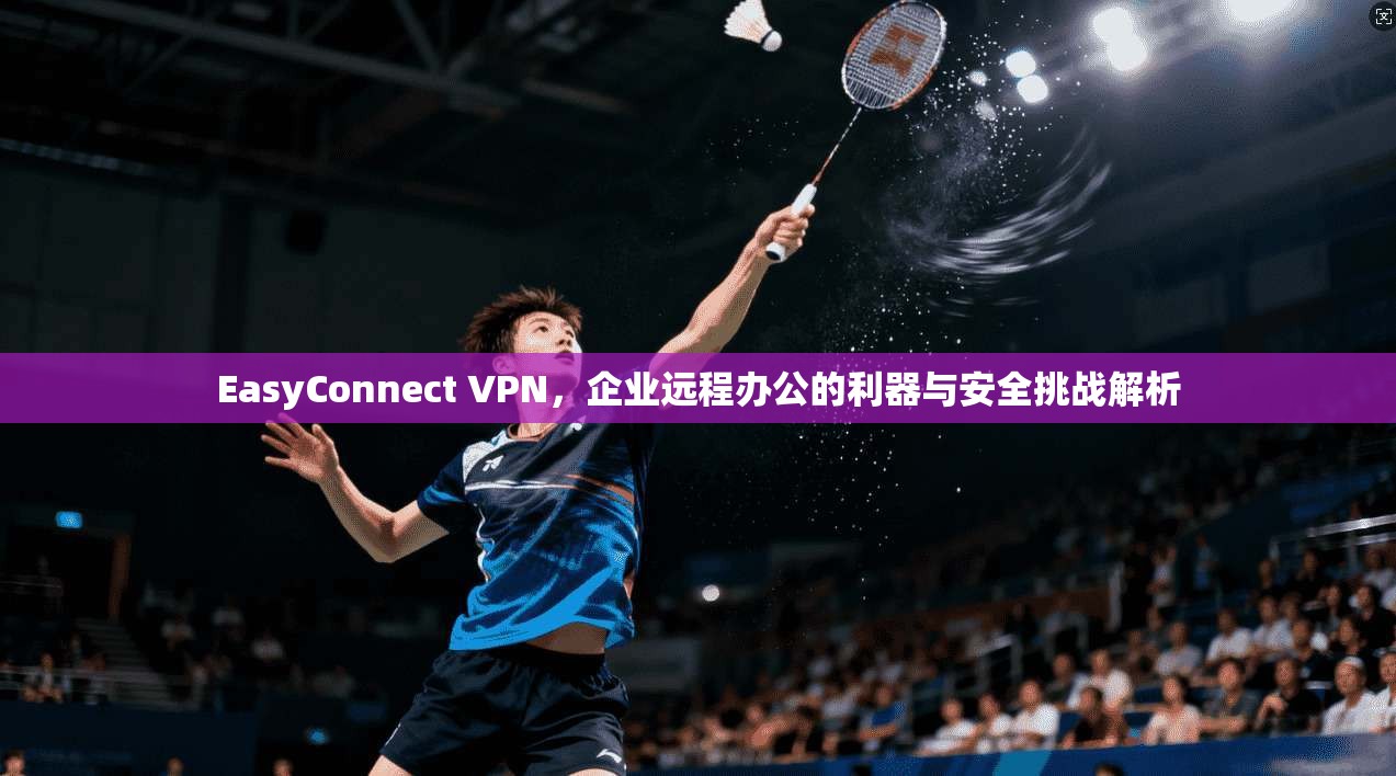 EasyConnect VPN，企业远程办公的利器与安全挑战解析  第1张
