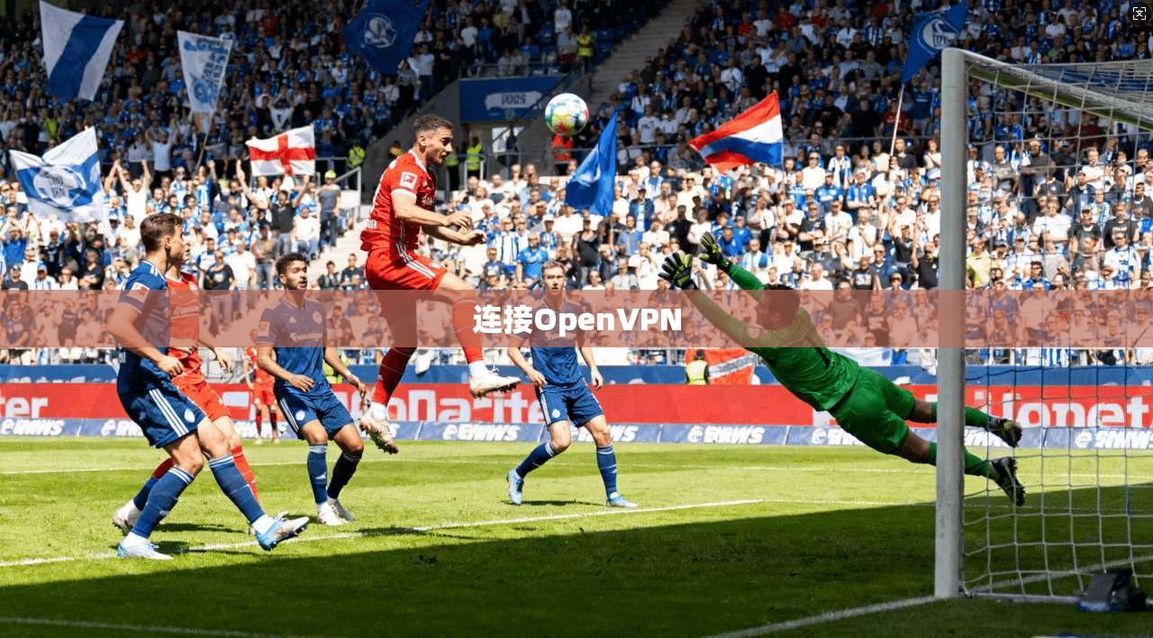 连接OpenVPN  第1张