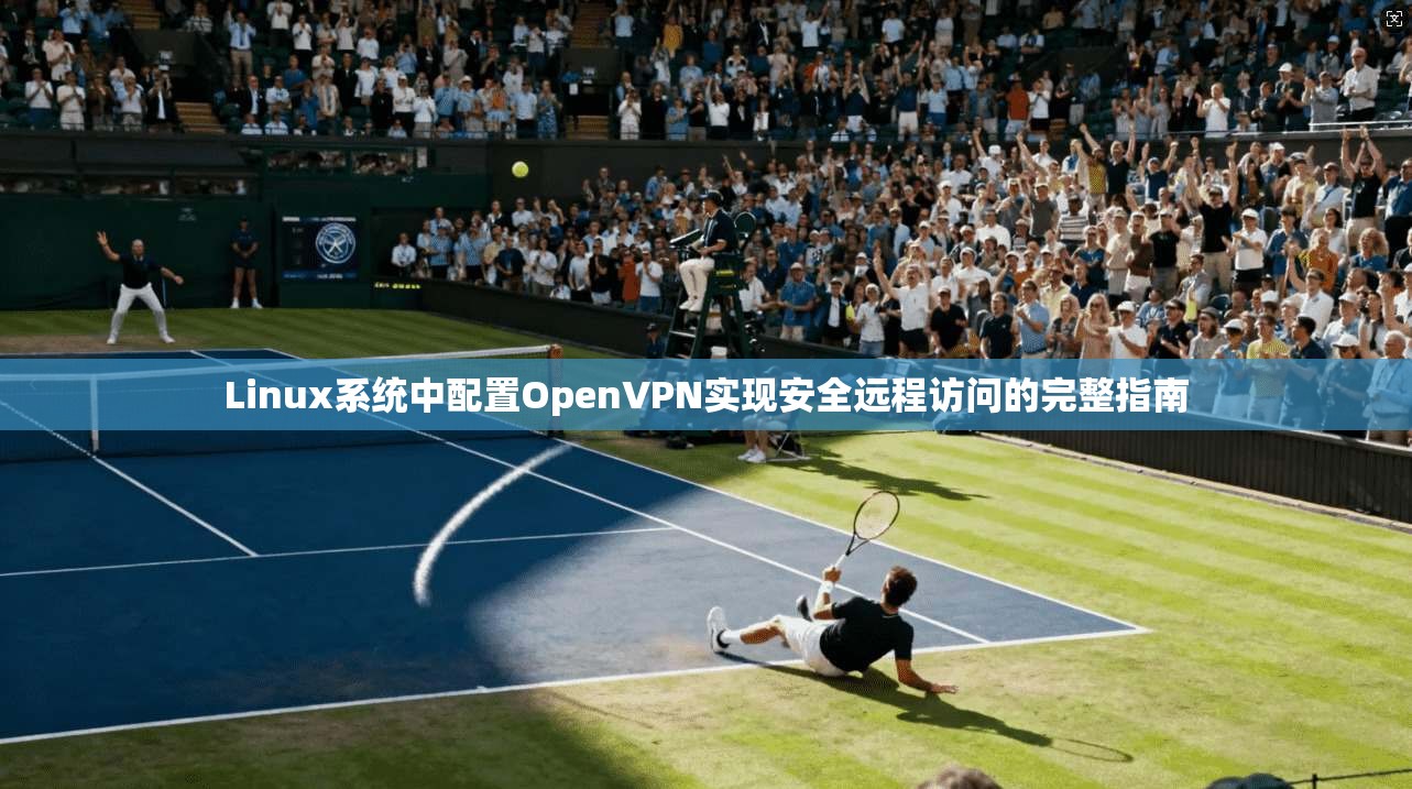 Linux系统中配置OpenVPN实现安全远程访问的完整指南  第1张