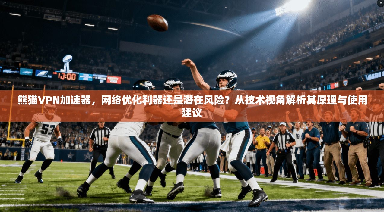 熊猫VPN加速器，网络优化利器还是潜在风险？从技术视角解析其原理与使用建议  第1张