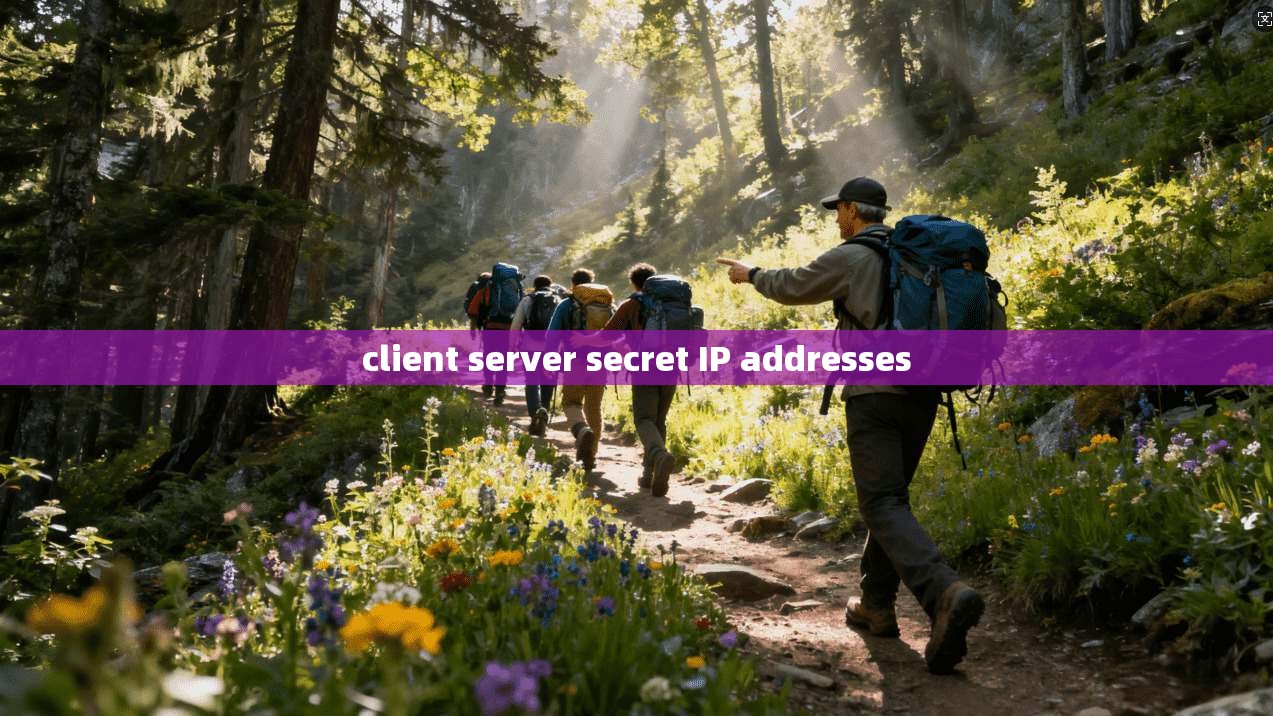 client server secret IP addresses  第1张