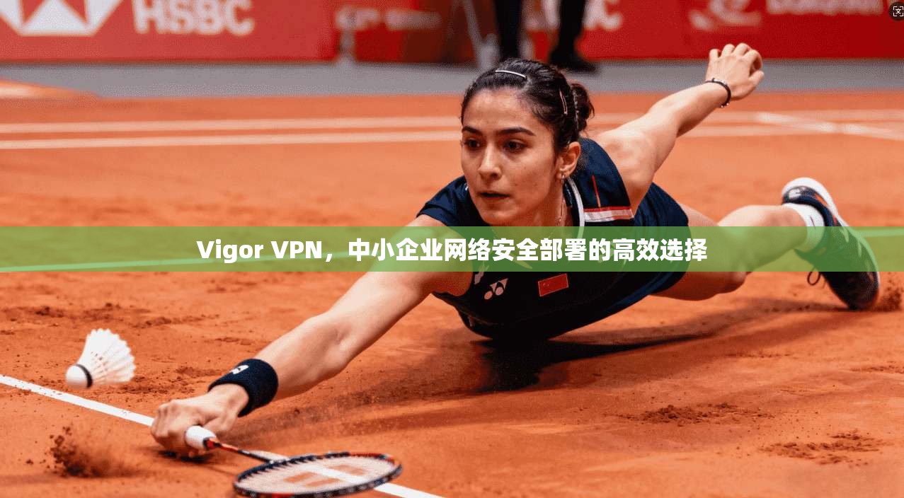Vigor VPN，中小企业网络安全部署的高效选择  第1张