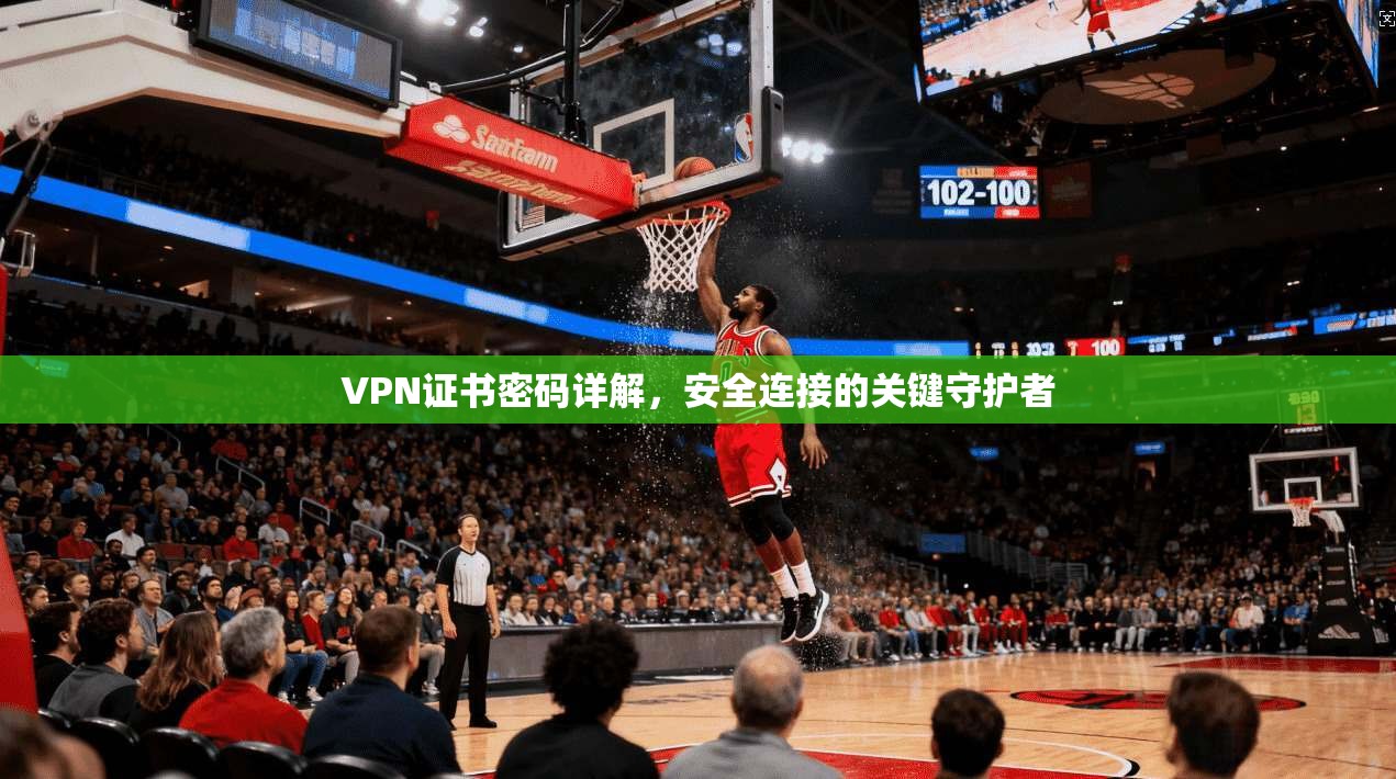 VPN证书密码详解，安全连接的关键守护者  第1张