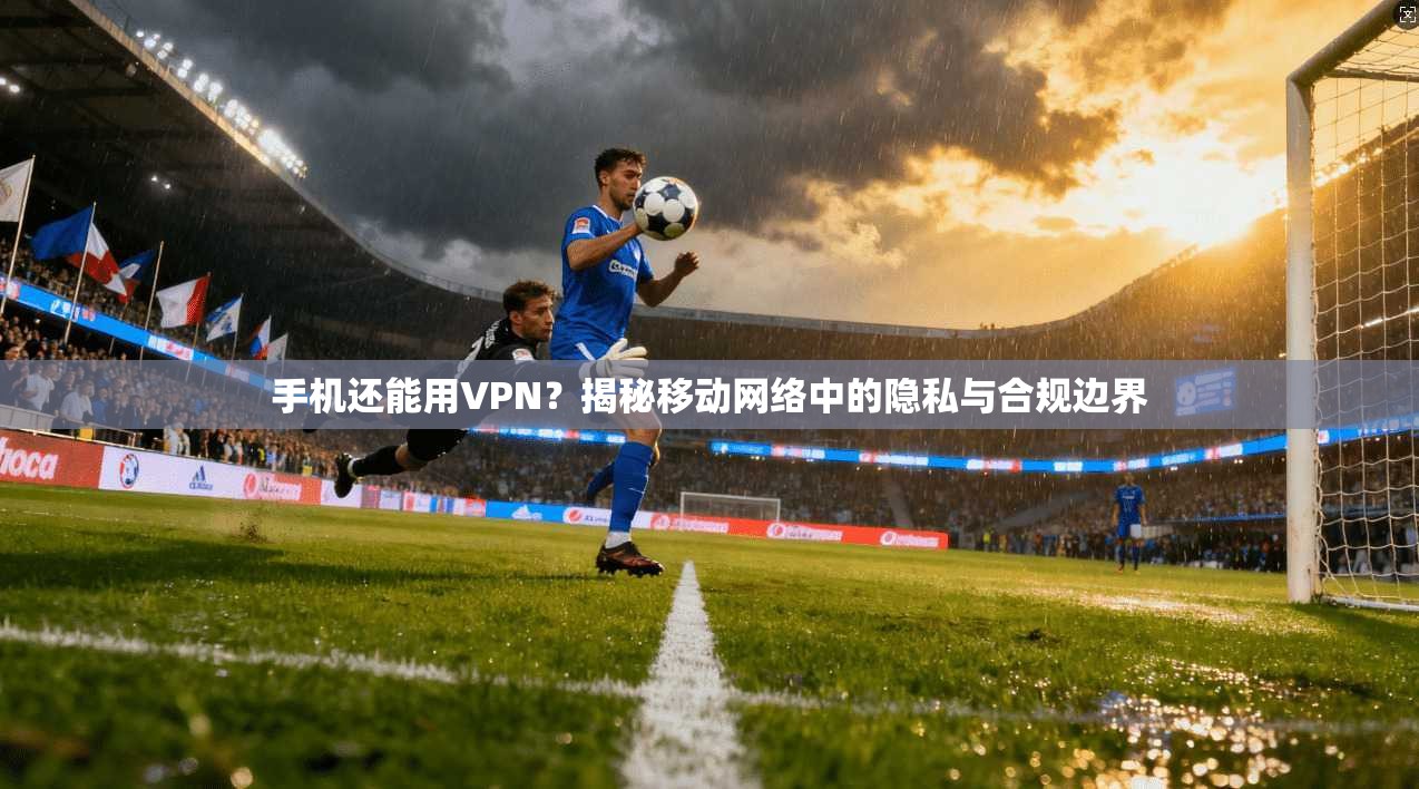手机还能用VPN？揭秘移动网络中的隐私与合规边界  第1张