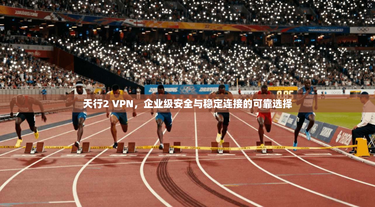 天行2 VPN，企业级安全与稳定连接的可靠选择  第1张