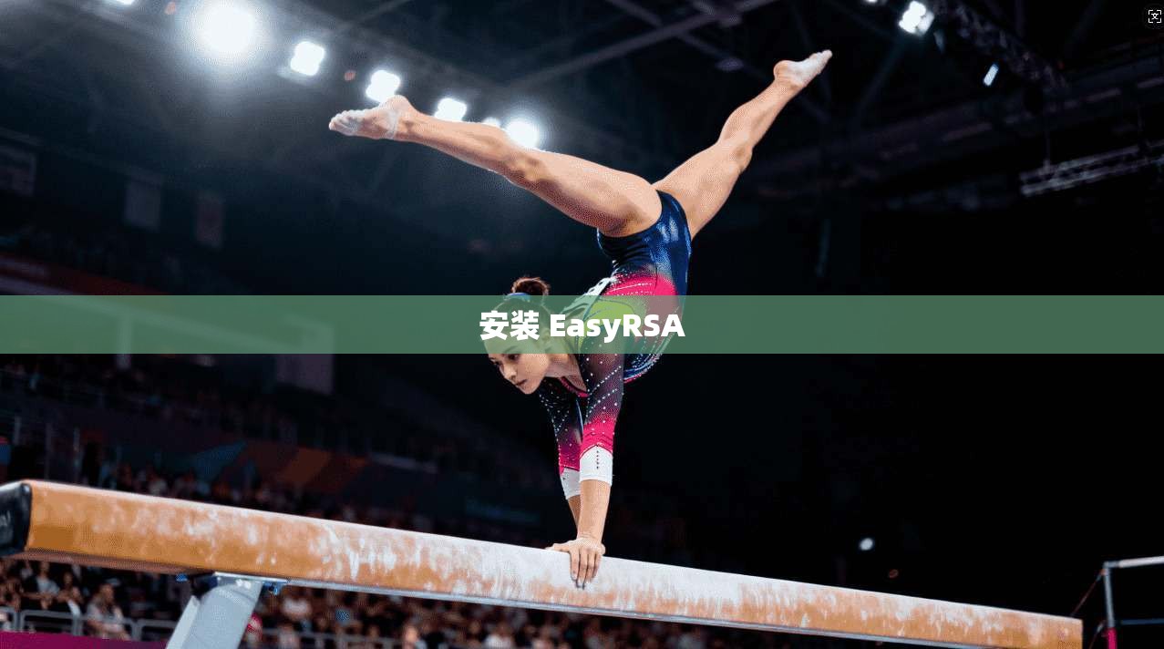 安装 EasyRSA  第1张