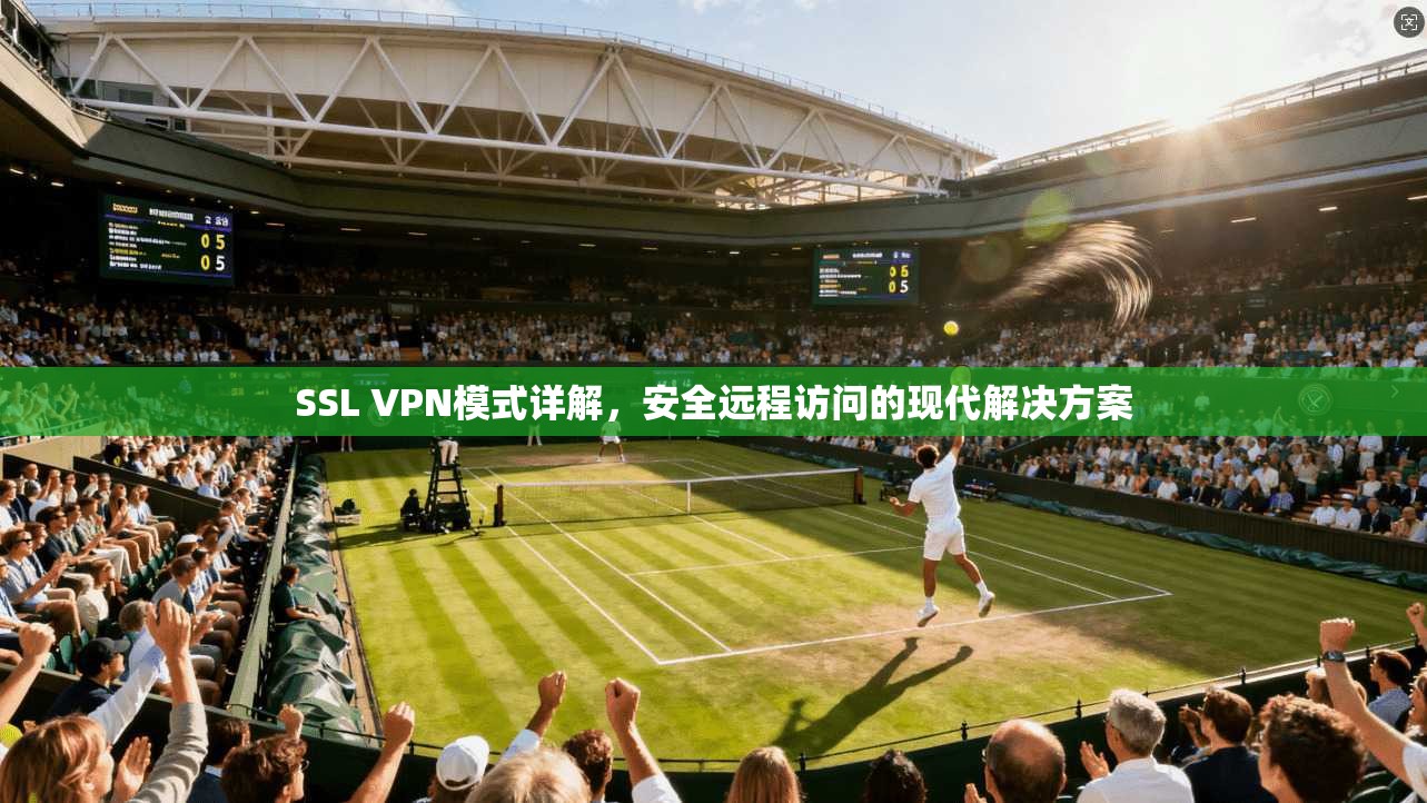 SSL VPN模式详解,安全远程访问的现代解决方案 第1张 SSL VPN模式详解,安全远程访问的现代解决方案 第1张