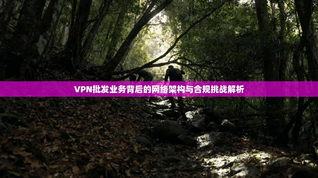 VPN批发业务背后的网络架构与合规挑战解析  第1张